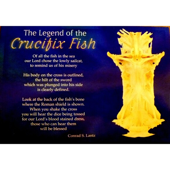 Postcard crucifix fish gaff top sailcat religious jesus christ cross - Picture 1 of 6